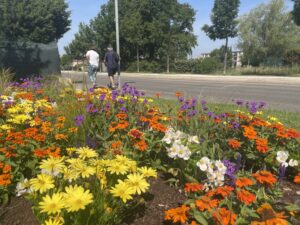 Promenade dans le Pontet au Printemps - 2024