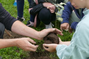 Projet "Autour du Chêne" - Plantation 2024