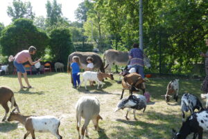 Kermesse de la petite enfance - 2024