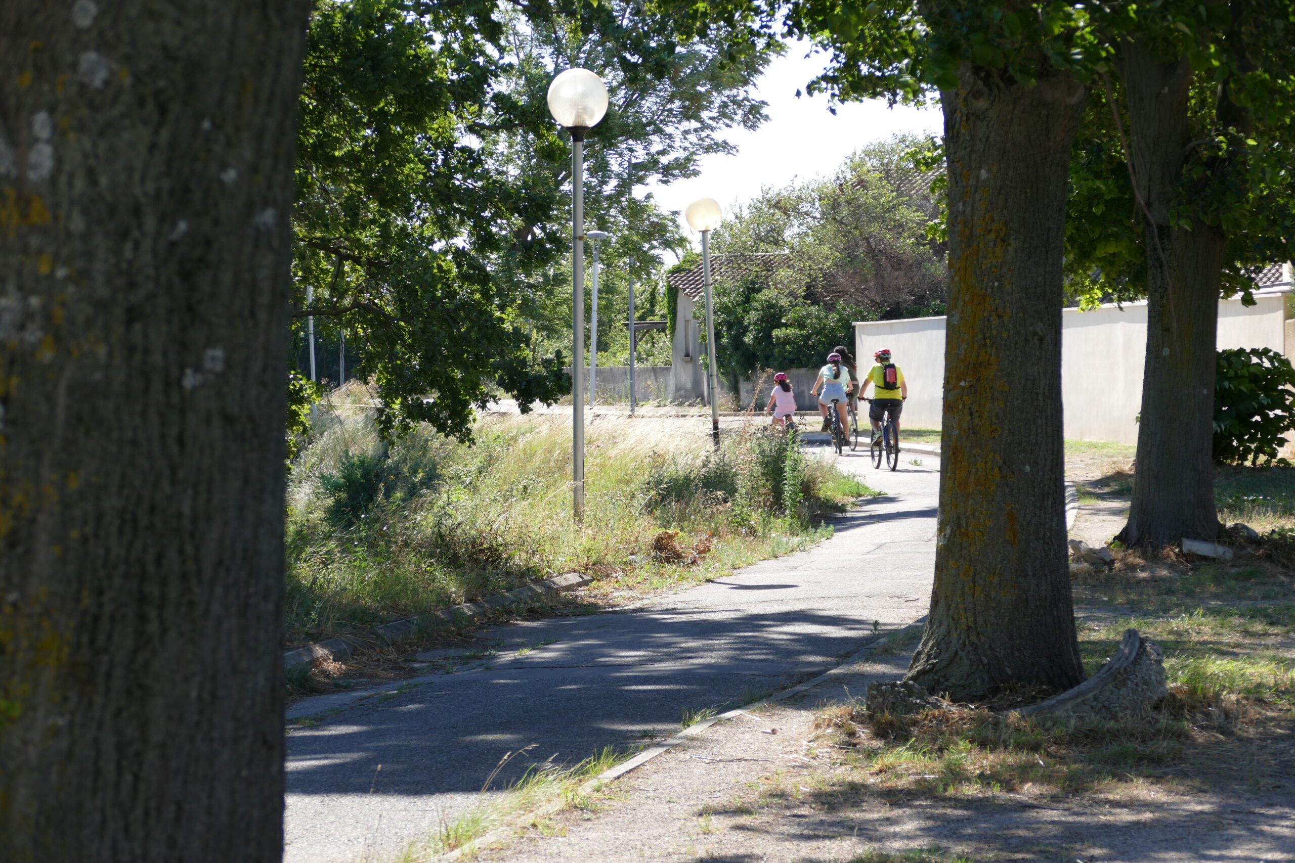 Balade à vélo dans le Pontet