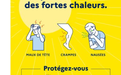 PLAN CANICULE 2025