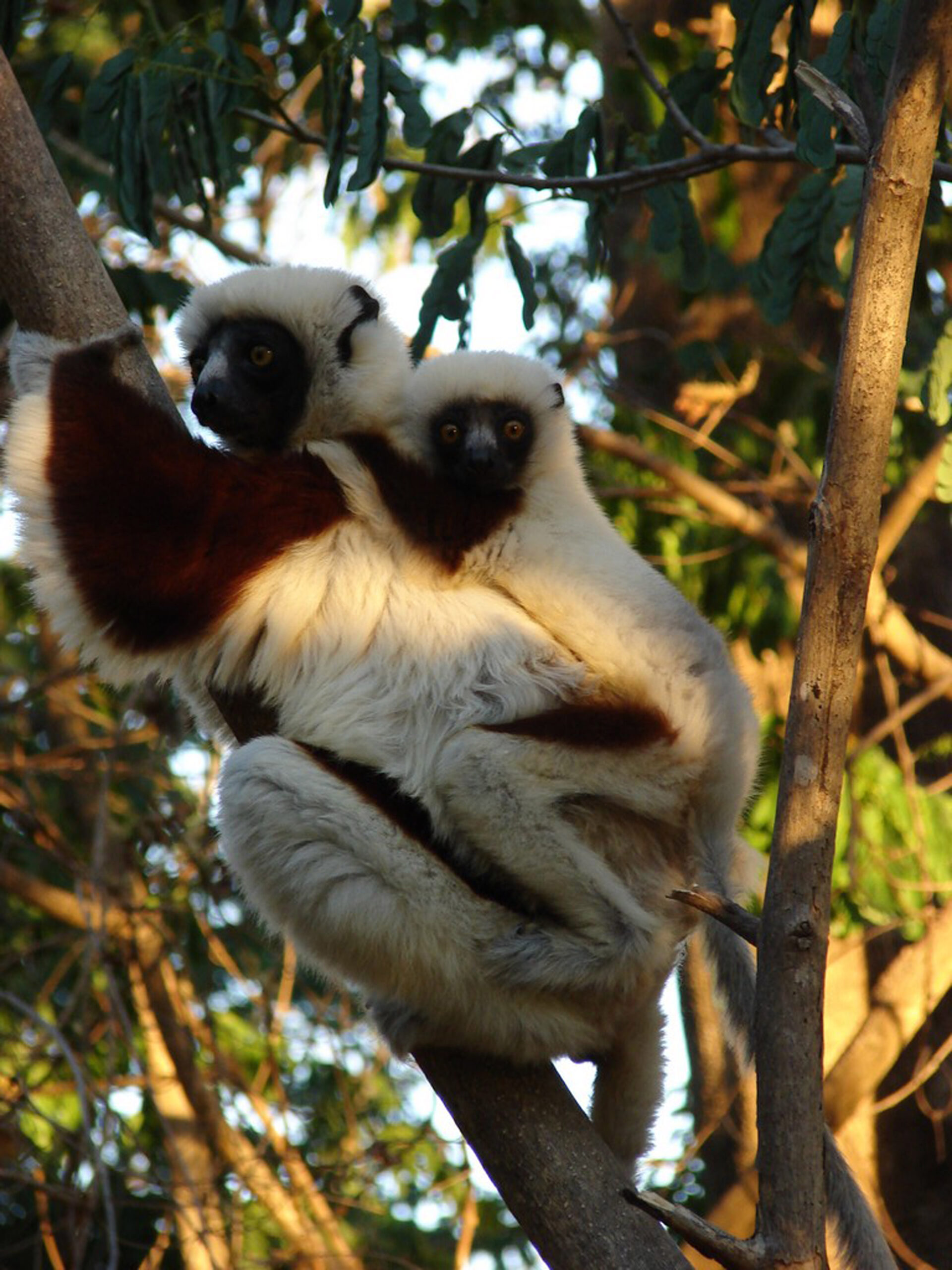 CINÉ - CONFÉRENCE IMAGES DU MONDE