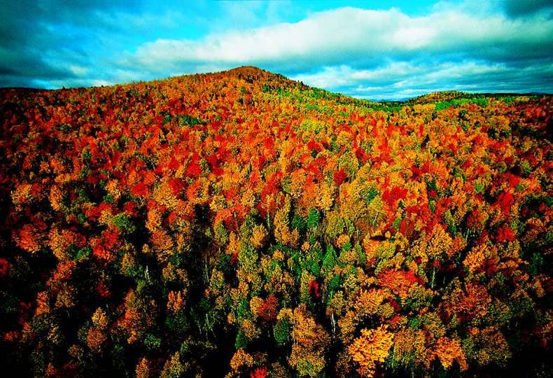 CINÉ - CONFÉRENCE IMAGES DU MONDE