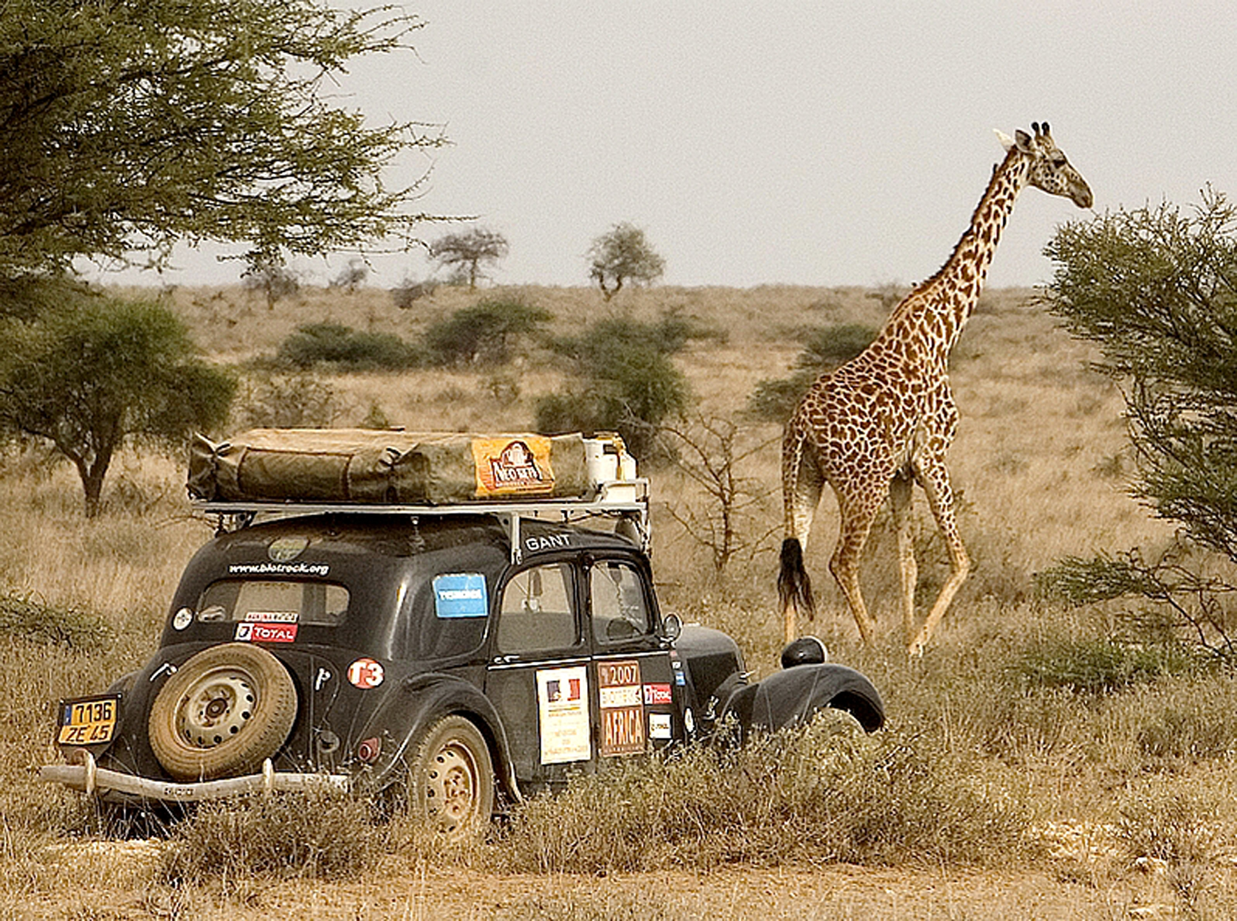 CINÉ - CONFÉRENCE IMAGES DU MONDE