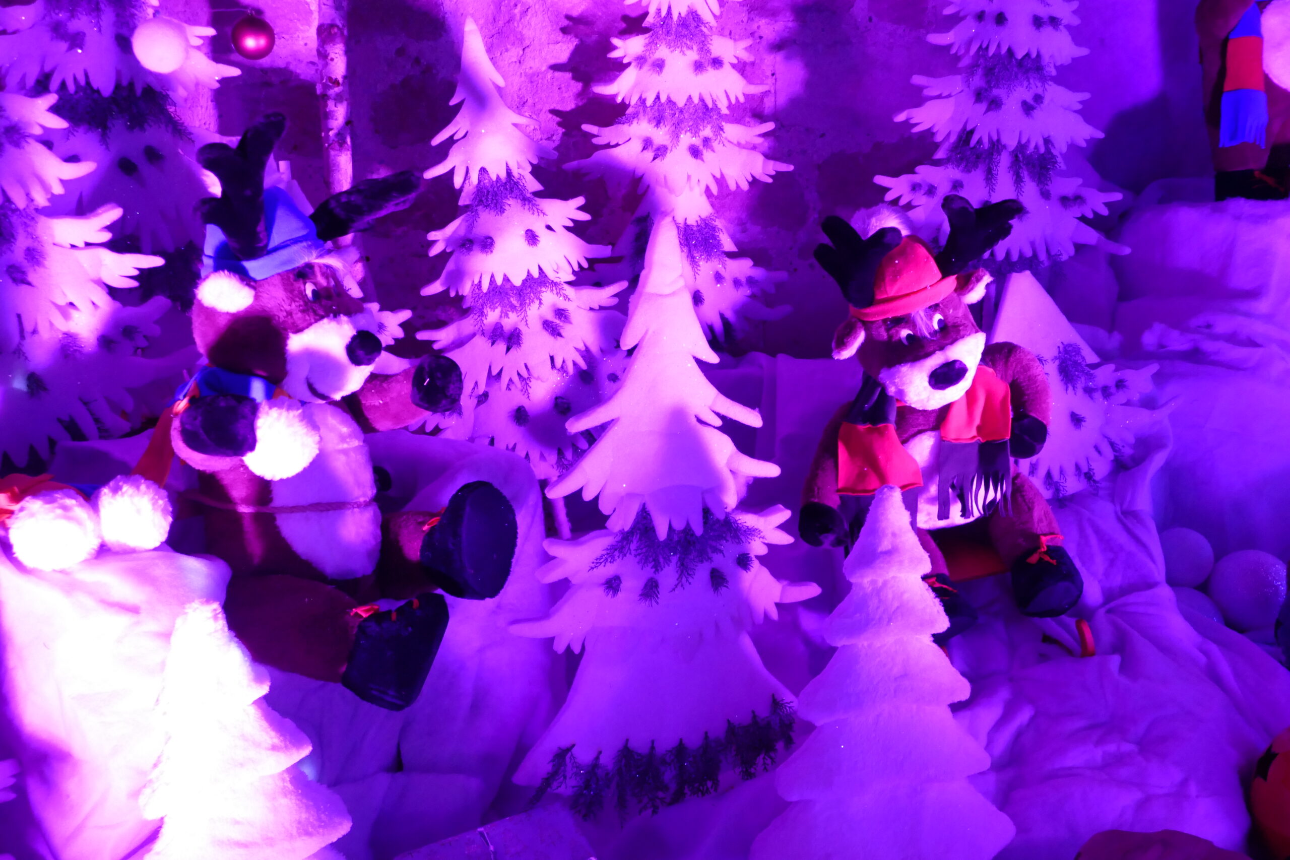 Inauguration exposition de Noël et crèche provençale 2025