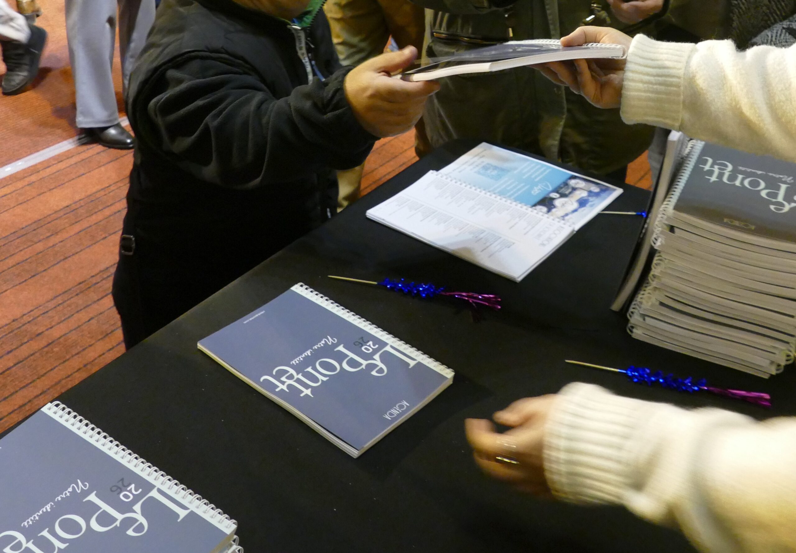 Voeux du maire 15 janvier 2026