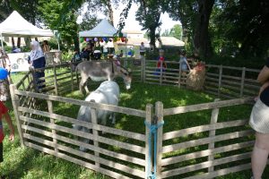 FAMILLES EN FETE 30 MAI 2026